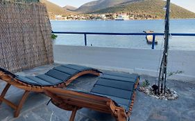 Vitamin Sea House